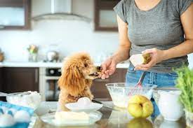 Can Dogs Eat Pears Fruits Dogs Can Cannot Eat