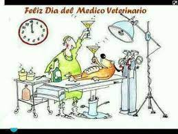 Envía las mejores dedicatorias por el día del médico veterinario. Feliz Dia Del Medico Veterinario Zootecnista Dia Del Medico Veterinario Dia Del Veterinario Feliz Dia Del Medico