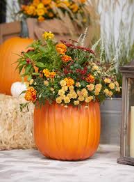 How deep to plant pumpkin seeds? Make A Pumpkin Planter Better Homes Gardens