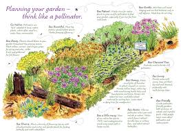 Pacific northwest flowers for bees. Recommendations What Can We Do Bumble Bee Conservation N W