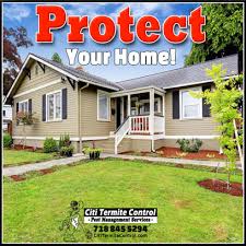 We proudly offer effective and affordable residential and commercial pest control. Citi Termite Control And Exterminating Services 718 845 5294 Citi Termite Control Offers Pest Management Services In Jamaica Queens We Take Pride In Our Work And Care About Our Customer S Satisfaction 718 845 5294
