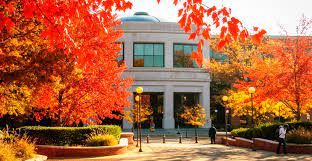 How can i limit my google search results to only government sites? University Libraries Overview Libraries The University Of Memphis