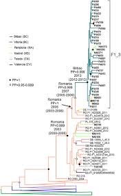 Tienda online para mascotas zoomalia. Frontiers Diverse Large Hiv 1 Non Subtype B Clusters Are Spreading Among Men Who Have Sex With Men In Spain Microbiology