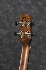 We did not find results for: Ibanez Elektroakustik Konzert Ukulele Aus Macassar Ebenholz Mit Cutaway Dark Brown Open Pore Uew13mee Dbo Amazon De Musikinstrumente Dj Equipment