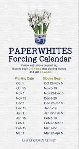 Forcing Bulbs For Christmas Blooms Omg Lifestyle Blog Indoor Flowers Bulb Flowers Garden Bulbs