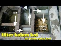 Kekurangan cahaya matahari bisa membuat warna pada tubuh koi memudar. Pin Di Water