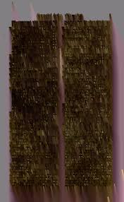 Image result for Hymenodictyon austro-africanum