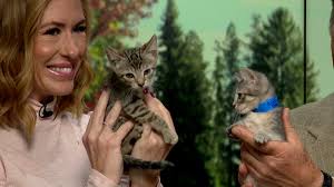 Crook County High Celebrates Constitution Day with Band of Brothers