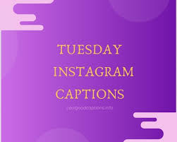 Lovethispic's pictures can doing this will save the funny tuesday quotes picture to your account for easy access to it in the. Incredible 49 Perfect Tuesday Instagram Captions For Selfie Pics