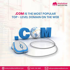 Com Is The Most Popular Top Level Domain On The Web Top Level Domain Hosting Company Cpanel