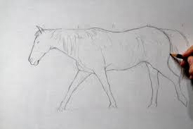 All the best realistic horse drawing 32+ collected on this page. The Best Way To Draw A Realistic Horse In 8 Steps My Sketch Journal