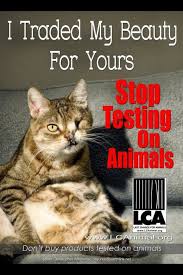 L'oreal paris animal testing policy. Stop Animal Testing Quotes Quotesgram