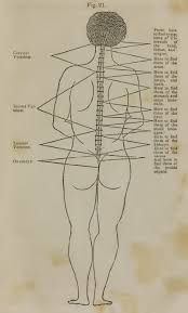 Why Dont Chiropractors Remember Nerve Tracing Tic