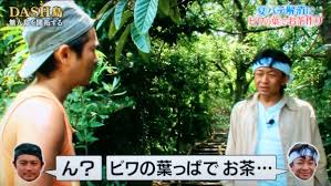 なまけもの On Twitter 城島 ビワの葉っぱでお茶 やと ん ってなるけど Biwacha やったら おっ って 山口 オレそんなのにダマされないけどね 城島 絶対プードル抱いたシロガネーゼが飲むで Tokio 鉄腕dash