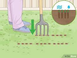 Garden tillers can be overwhelming pieces of machinery. 3 Easy Ways To Break Down Clay Soil Fast Wikihow