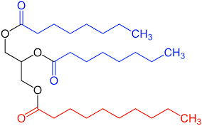 Image result for Triglyceride