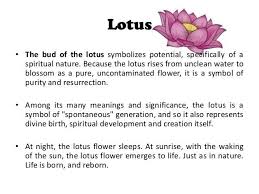 Uber Google Auf Pinterest De Gefunden Lotus Flower Tattoo Meaning Lotus Flower Meaning Lotus Flower Color Meaning
