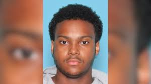 Injured bald eagle euthanized after community steps up to help save her