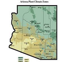 Az Master Gardener Manual Introduction To Fruit Trees Arizona High Desert Zone 3 Regions 3 And 4 Are Arizona Plants Desert Landscaping Arizona Gardening