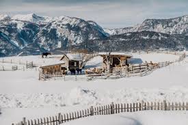 The only problem we had was the difficulty of deciding whether to stay on the farm and enjoy of the company of the alpakas, lamas and hilarious two cats, or to visit nearby mountains, lakes, gorges and other attractions. Klausnerhof Aich Aktualisierte Preise Fur 2021