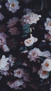 Maybe you would like to learn more about one of these? Pin By Arina On Inspiration Dark Aesthetic Flower Aesthetic Victorian Aesthetic