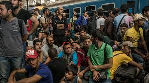 Overview geography people government economy communications transportation military transnational issues. Hungary S Migrant Abuse Is Matter Of Urgency European Agency Finds The New York Times