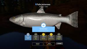 Włącz dostęp do 7891 filmów premium. Wyzwanie Tygodnia 17 02 23 02 Palia Jeziorowa Wyzwania Russian Fishing 4