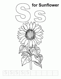 The kapok tree is a native to the tropical rainforest of the caribbean, central america, and south america. Printable Sunflower Coloring Home