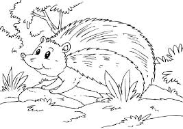 Ausmalbilder zum ausdrucken igel ausmalbilder igel 15. Igel Ausmalbilder 4 Ausmalbilder Malvorlagen