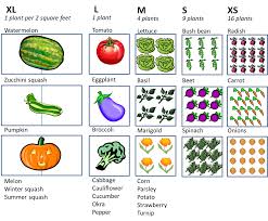 Square Foot Gardening