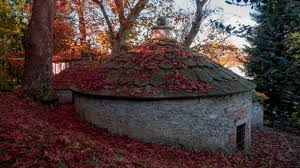 180+ Ice House Stock Photos, Pictures ...