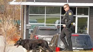 Nashville police chief john drake said officers had received a call of shots fired in the area of as officers responded, they encountered an rv that had a recording saying a that potential bomb would. Police Investigating Multiple Bomb Threats In Middle Tn Across U S Wztv