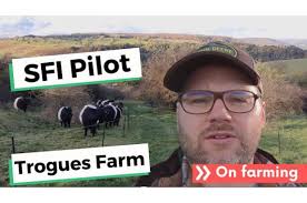 environmental land management schemes