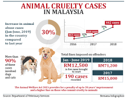 Whilst cat pictures on the internet. Bernama Animal Cruelty Cases In Malaysia