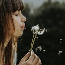 Funeral Celebrants Suffolk