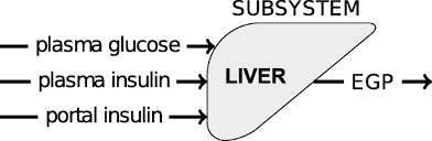How to calculate weight watchers points. Determination Of Physiological Parameters For Endogenous Glucose Production In Individuals Using Diurnal Data Bmc Biomedical Engineering Full Text