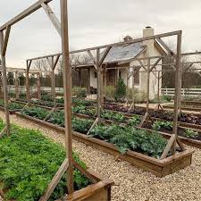 Just Stumbled Across This Cool Page For Joanna Gaines Vegetable Garden Design Vegetable Garden Raised Beds Diy Raised Garden