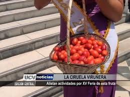 Resultado de imagen para FERIA DE LA CIRUELA EN VIRU