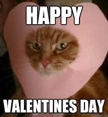 75 Funny Valentine Memes To Get You Through V Day Sayingimages Com Valentines Day Memes Funny Valentine Memes Valentines Memes