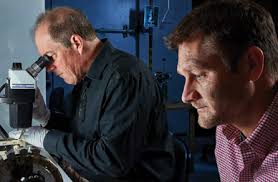 Also in this issue: Laboratory Operations in a Pandemic Energetic Materials  Center Anniversary Disruptive Research Results