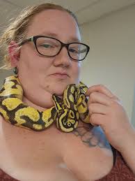 What kind of ball python is this based