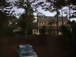 When andrew sterling, a successful black urbanite writer buys a vacation home on a resort in new england the police mistake him for a burglar. Die Neuesten Amos Andrew Zwei Fast Perfekte Chaoten Videos Auf Dailymotion