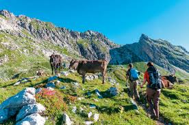 Nemecké Alpy: Najkrajšie túry a výhľady