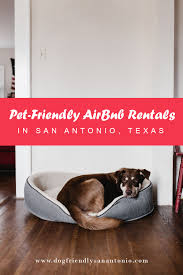 Heated outdoor swimming pool open in summer. The 8 Best Pet Friendly Airbnb Rentals In San Antonio Texas In 2020 Dog Friendly San Antonio