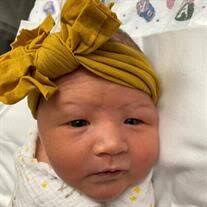 Sloan Emily Sicheneder Obituary