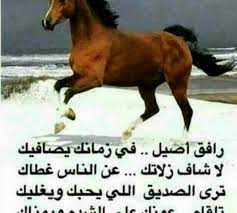 بيت شعر عن الصديق الكفو cooknays com