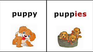 How To Form The Plural In English Youtube