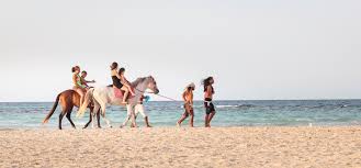 It is a part of the maghreb region of north africa, and. Tunesien Aktiv Erleben Der Sportreisende