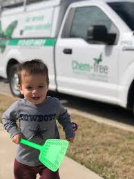 Termite and pest management services might help lower statistics and your house protected from damage. Keep Your House Termite Free Without Using Toxins Austin Monthly Magazine