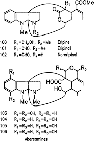 Image result for Strychnos matopensis